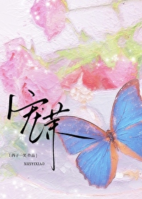 寵茉