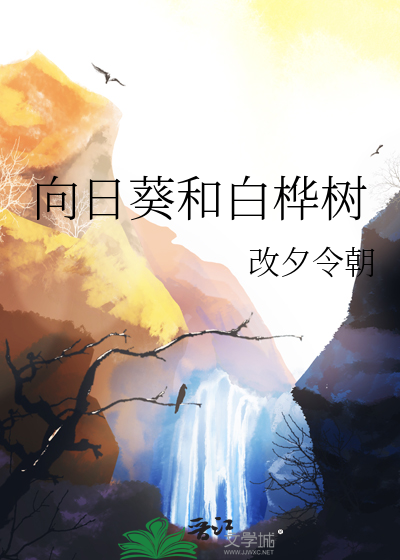 向日葵和白桦樹