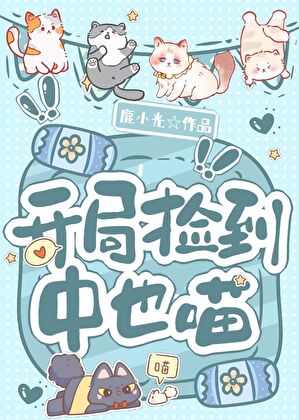 橫濱大舞台，有喵你就來