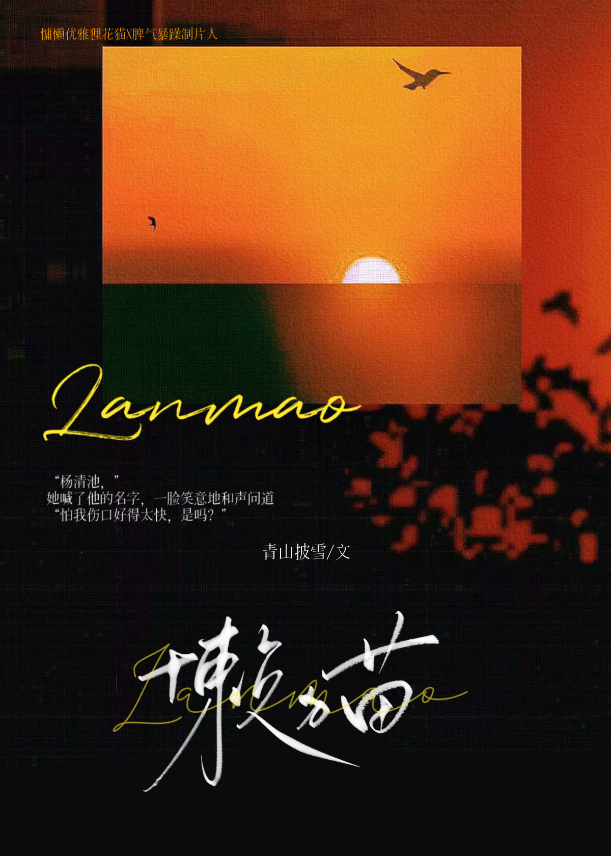 懶貓