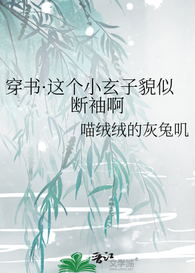 穿書·這個小玄子貌似斷袖啊