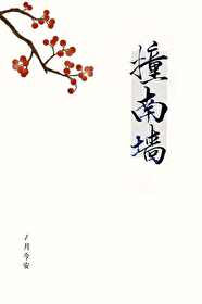 撞南牆