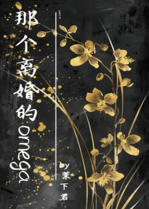 那個離婚的omega