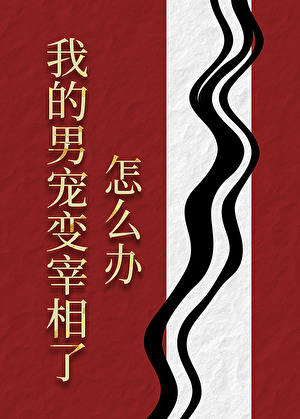 我的男寵變宰相了怎麼辦