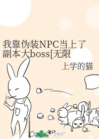 我靠僞裝NPC當上了副本大boss[無限]