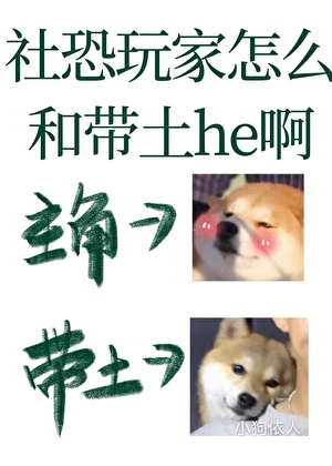 社恐玩家怎麼和帶土he啊
