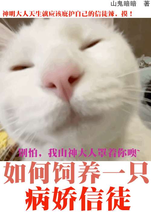 我靠神力拯救病嬌信徒