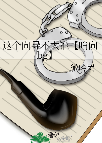 這個向導不太準【哨向bg】