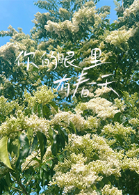 你的眼裡有春天