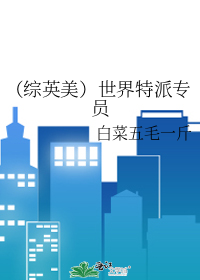 （綜英美）世界特派專員