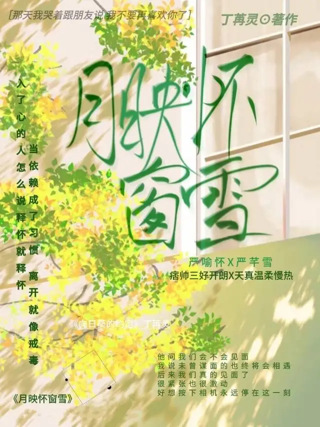 月映懷窗雪