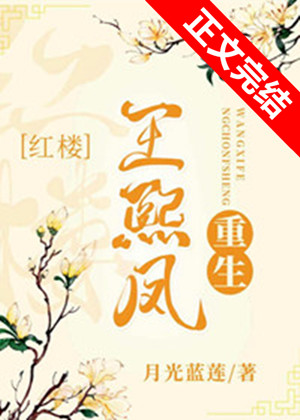 王熙鳳重生[紅樓]
