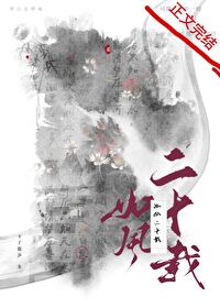 如風二十載