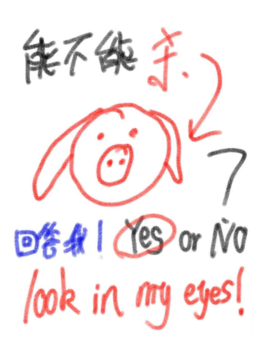 穿成嬌妻後還能殺豬嗎