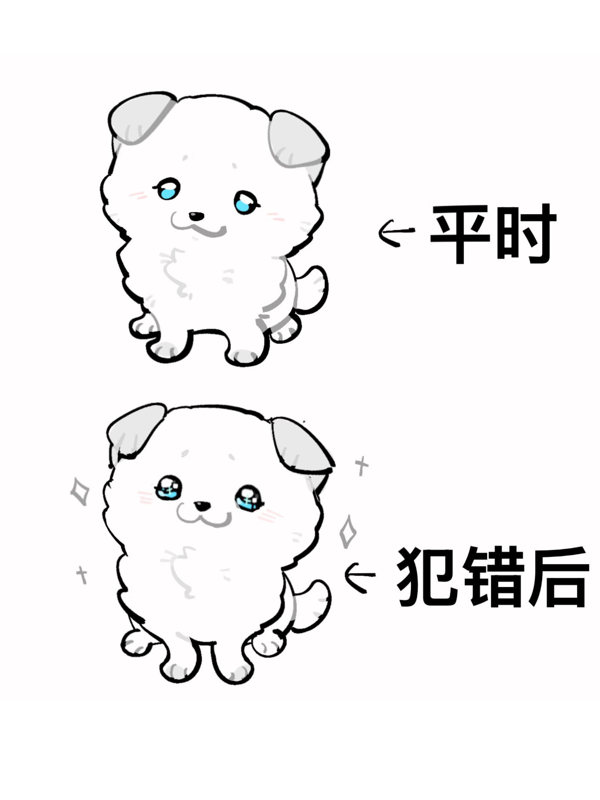 請勿随意拾取比格玩家