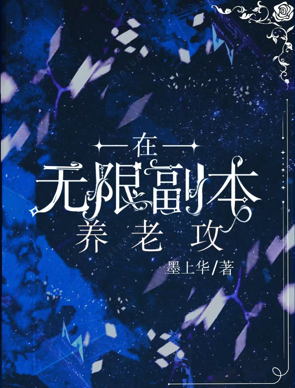 在無限副本養老攻