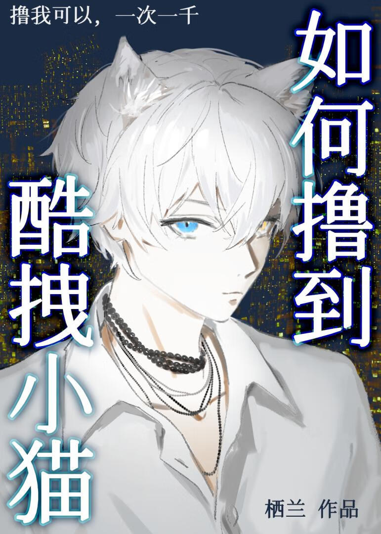 如何撸到酷拽小貓