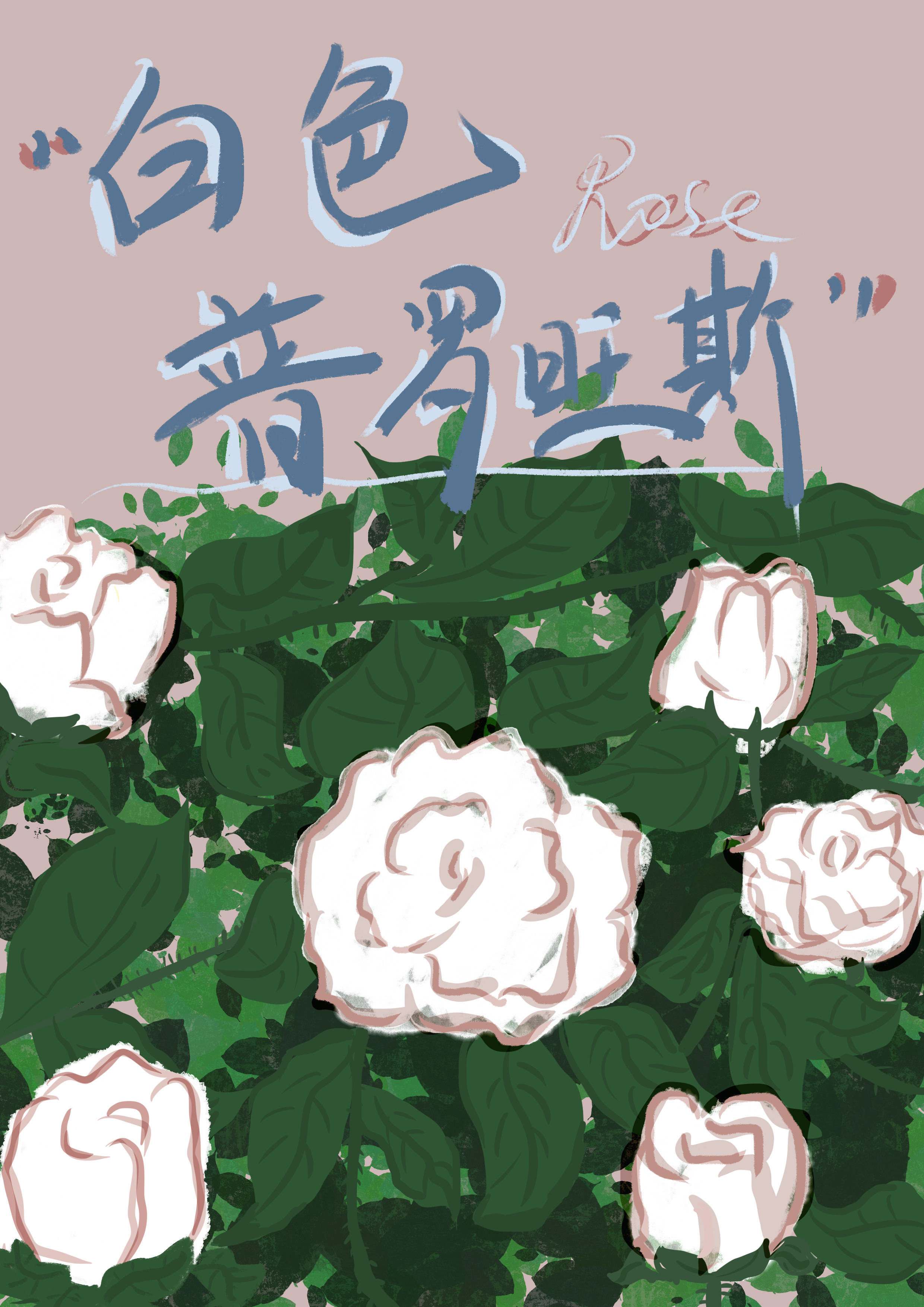 白色普羅旺斯