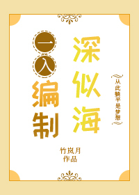 一入編制深似海
