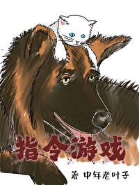 Command Game[指令遊戲]