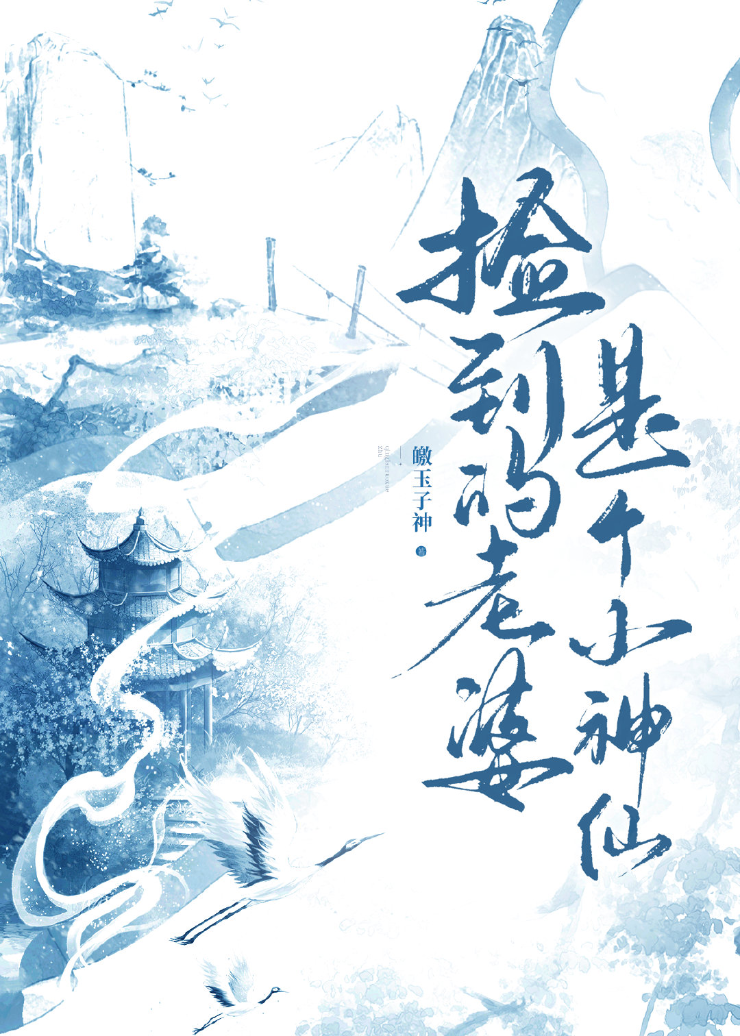 撿到的老婆是個小神仙