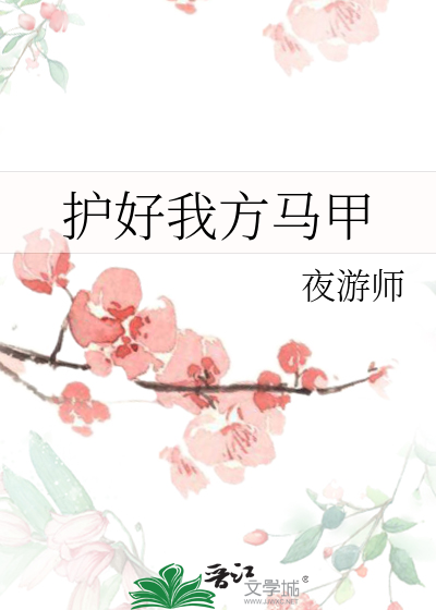 護好我方馬甲
