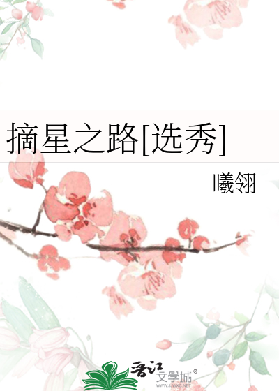 摘星之路[選秀]