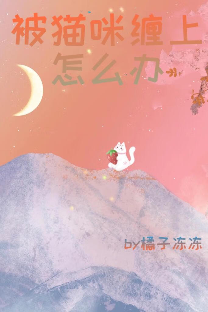 被貓咪纏上怎麼辦