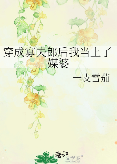 穿成寡夫郎後我當上了媒婆