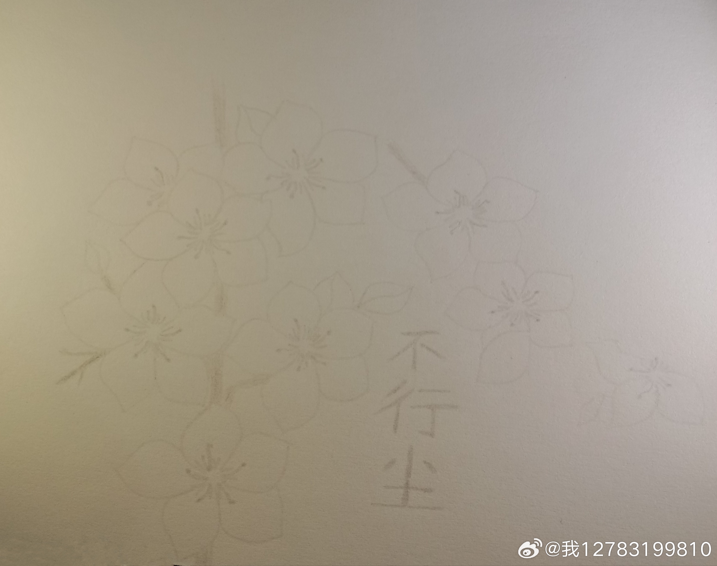 不行塵