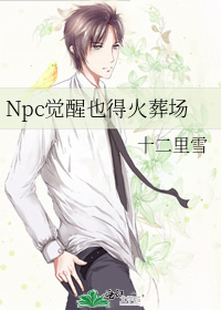Npc覺醒也得火葬場