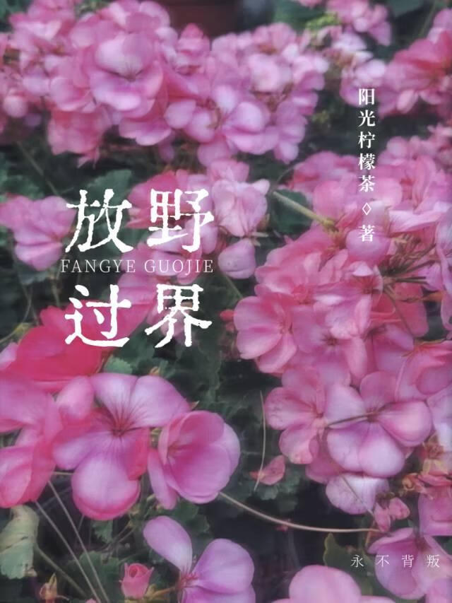 放野過界