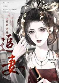 追妻守則