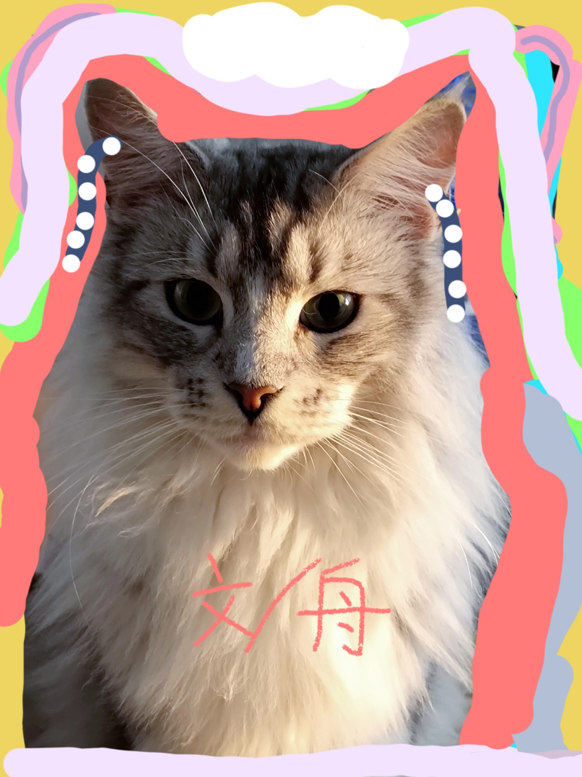 我解放了峨眉仙派[穿書]