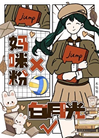 排球乙女遊戲禁止笨蛋入内