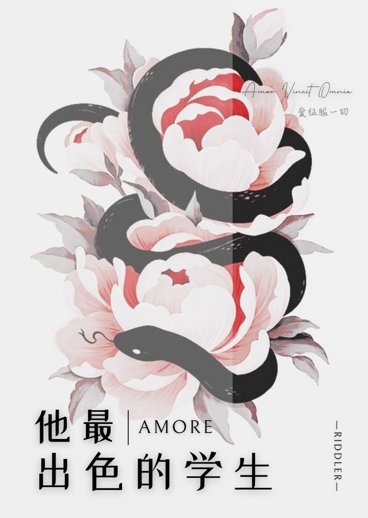 他最出色的學生（Amore）【HP】