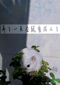 養了一隻倉鼠變成人了