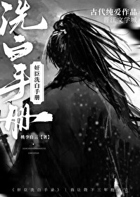 奸相洗白手錄
