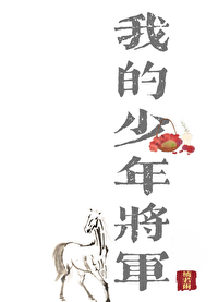 我的少年将軍