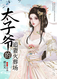 太子爺的追妻火葬場