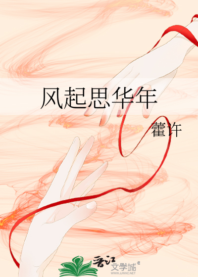風起思華年