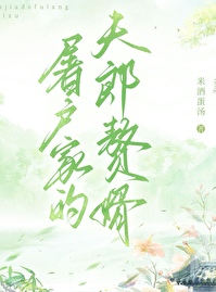 屠戶家的夫郎贅婿