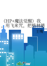 （HP+魔法覺醒）我，用飛來咒，把格林德沃從煤氣竈扯出來