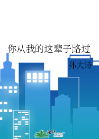 你從我的這輩子路過
