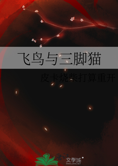 飛鳥與三腳貓