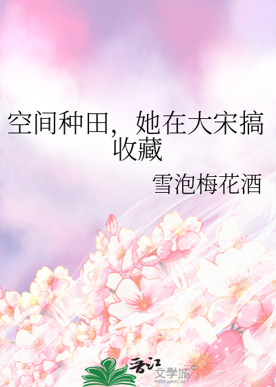 空間種田，她在大宋搞收藏