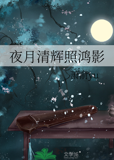 夜月清輝照鴻影