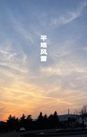 平地風雷[刑偵]