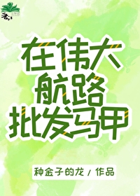 在偉大航路批發馬甲