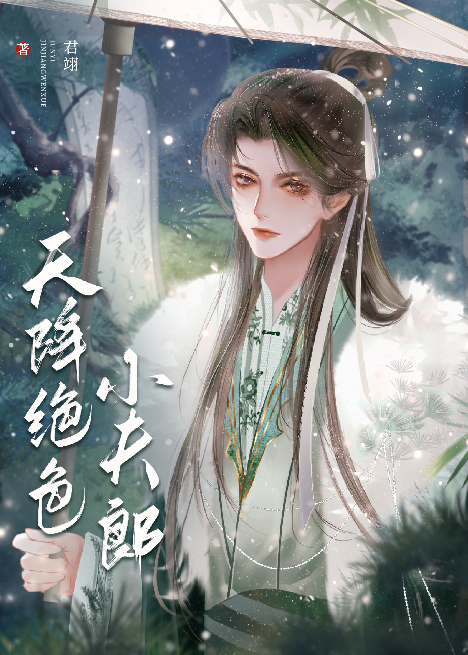 天降絕色小夫郎